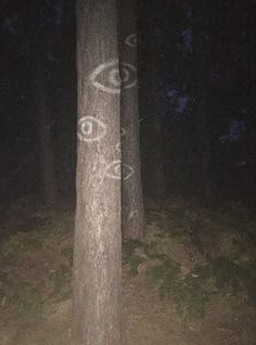 two trees with faces drawn on them in the woods at night time, one is lit up by a flashlight