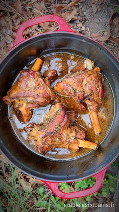 some meat is cooking in a pot on the ground with leaves and grass around it