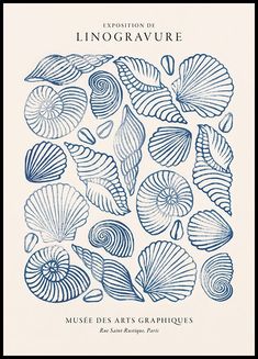 the front cover of an illustrated book with blue sea shells and spirals on it