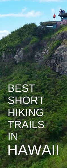 a man sitting on top of a lush green hillside next to a bench with the words best short hiking trails in hawaii