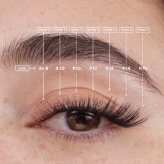 Cat Eye Lash Map, Lash Map, Natural Fake Eyelashes, Lashes Fake Eyelashes, Cat Eye Lash, Lash Extensions Styles, Eyelash Extensions Styles, Perfect Eyelashes, Natural Eyelash Extensions