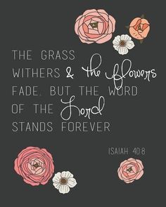 the grass withers and the flowers fade, but the word of the lord stands forever