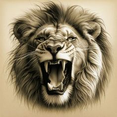 Open Mouth Lion Tattoo, Realistic Lion Tattoo Design, Realistic Lion Drawing, Male Sleeve Tattoo Ideas, Lion Outline, Roaring Lion Tattoo, Cartoon Movie Characters, Tiger Images