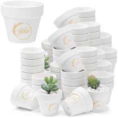 a stack of white cups with gold designs on them and succulents in the middle