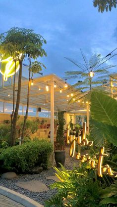 an outdoor area with plants and lights