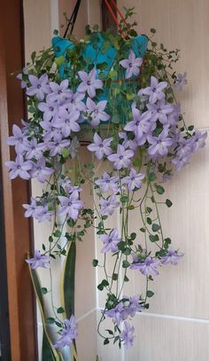 purple flowers are hanging from the side of a wall next to a vase with greenery in it