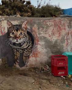 a cat painted on the side of a wall