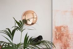 a potted plant sitting in front of a round mirror on the side of a wall