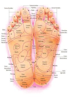 Con la reflexología podal se puede enviar mensajes a lo largo del sistema nervioso a todas las zonas del cuerpo y el cerebro ya que las zonas reflejas de los pies son de 5 a 20 veces más sensibles que los propios órganos. Massage, Map