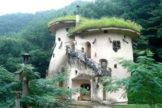 an unusual house in the woods with grass on top