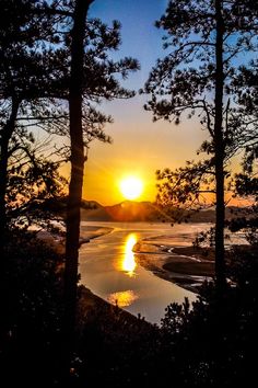 the sun is setting behind some trees on the water's edge, and it appears to be reflecting in the water