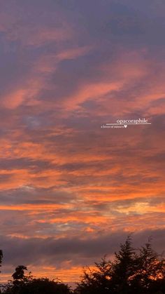 the sky is filled with pink clouds and some trees in front of it at sunset