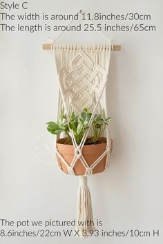 a macrame plant hanger with plants in it