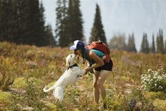 a woman is playing with her dog in the woods