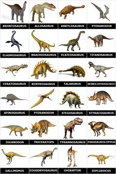 an image of dinosaurs that are in different sizes and colors, with the names on them