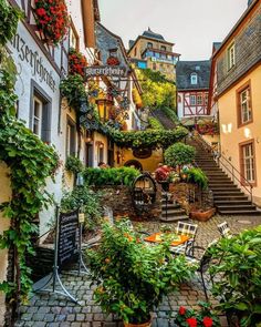 a cobblestone street with potted plants and flowers on the steps leading up to it
