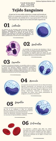 an info sheet with different types of food