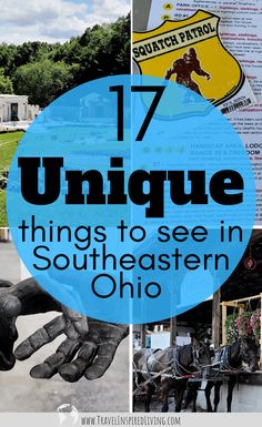 the words 17 unique things to see in southern ohio with images of horses and carriages