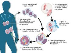 Gene Augmentation and Corrective Gene Therapy Alternative Health, Pharmaceutical Industry, Big Pharma, Think Big, Fundraising Events, Career Development, Healthcare System, No Matter How