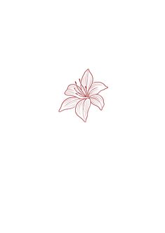 a drawing of a flower on a white background