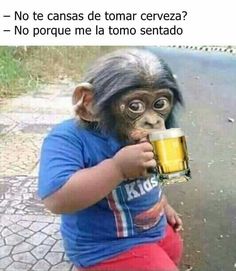 a monkey holding a coffee cup in it's mouth