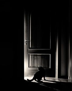 a black and white photo of a cat sitting on the floor in front of a door