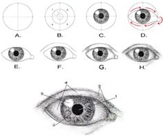 an eye diagram showing the different types of eyes and how to draw them with markers