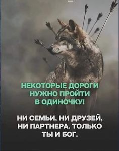 an image of a wolf with arrows in its mouth and the caption is russian