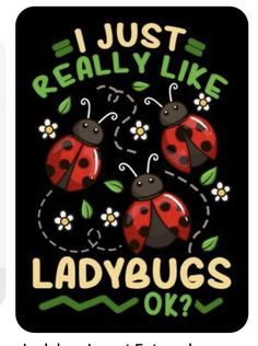 the ladybugs are all over the place