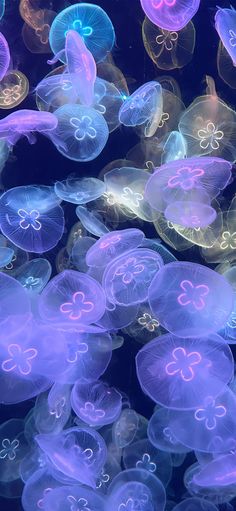 purple and blue jellyfish are floating in the water