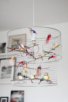 a bird feeder hanging from the ceiling filled with birds