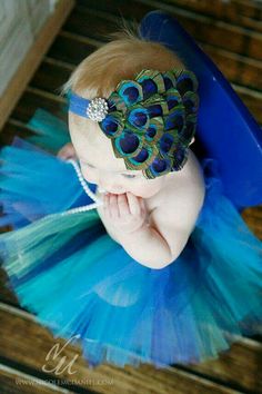 Peacock feathers hairband on a this cute lil angel. Peacock Feathers, Baby Peacock, Peacock Headband, Peacock Tutu, Peacock Baby, Peacock Costume, Peacock Color, Feather Headband, Rhinestone Bling