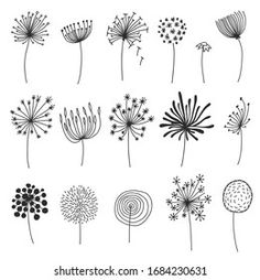 the dandelions are drawn in black and white