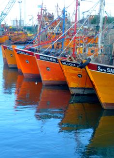 several orange boats are docked in the water