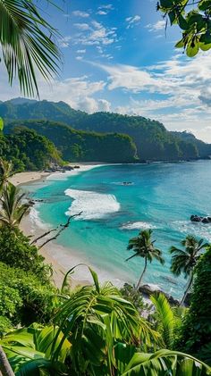 the beach is surrounded by tropical vegetation and blue water
