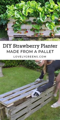 a woman sitting on top of a wooden bench next to a planter filled with plants