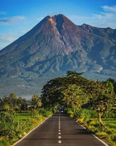 a long road with a mountain in the background and trees on both sides, surrounded by greenery