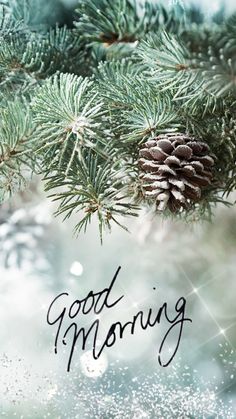 a pine tree with the words good morning written on it