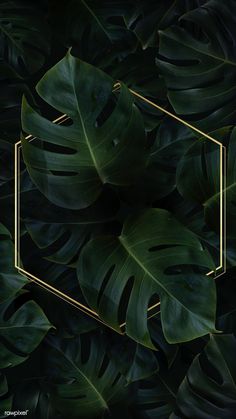 green leaves with a gold frame in the middle