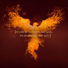 a fire bird with the words i'm order to rise from its own ashes, the phoknix first my trust burn