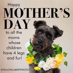 a black dog with flowers around its neck and the words happy mother's day to all the moms whose children have 4 legs and fur