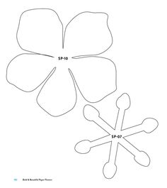 four leaf clover cut out from the paper