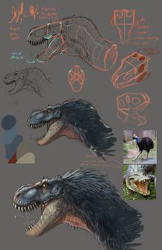 some drawings of different types of dinosaurs