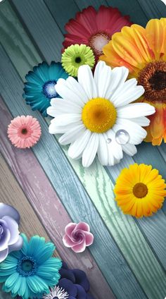 Fotografi Digital, Iphone Wallpaper Sky, Flowery Wallpaper, Wallpaper Nature Flowers, Flowers Beautiful, Backgrounds Wallpapers, Floral Poster, Flower Background Wallpaper, Graphic Wallpaper