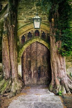 the entrance to an old stone building with two large trees
