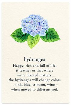 a card with flowers on it that says hydrangea happy, rich and full of life