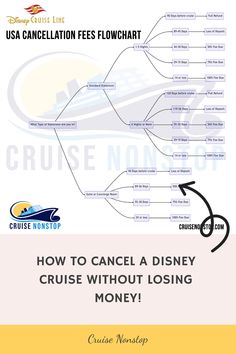 the disney cruise info sheet is shown in black and white, with an arrow pointing to it