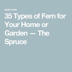 the text reads 35 types of fem for your home or garden - the spruce