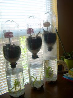 three vases with plants in them sitting on a table next to a window sill