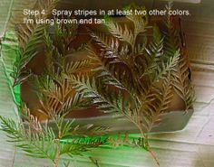 some plants that are on top of a piece of tin foil with words above it